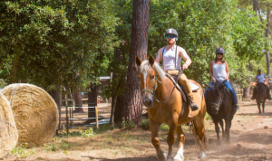 siblu la pignade horseriding