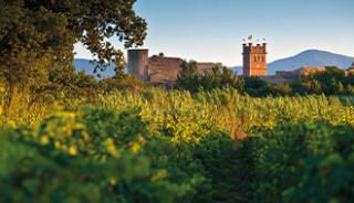 Une escapade dans les vignobles