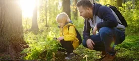 Automne camping octobre