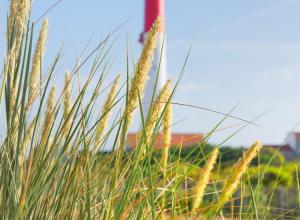 charente beach