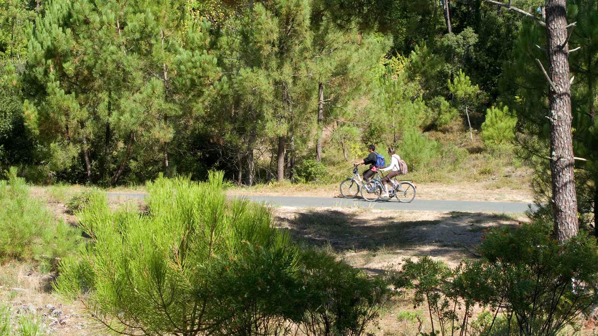 Se balader en vélos