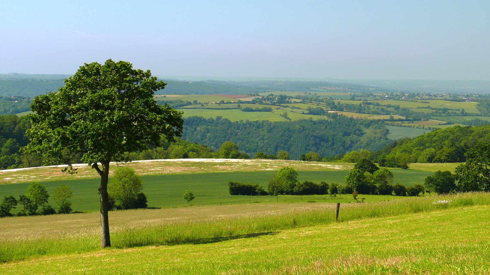 La campagne environnante aux campings Siblu